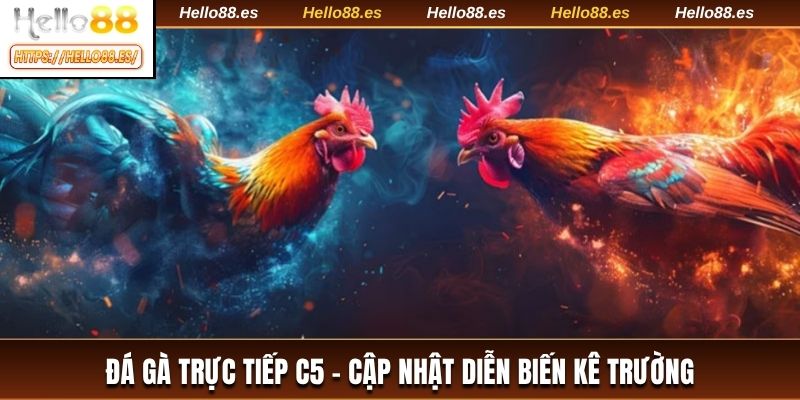 Đá gà trực tiếp C5